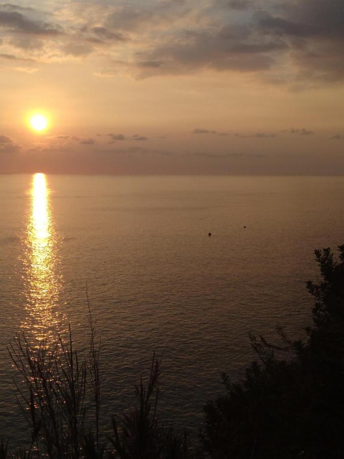 Anjos'S Choice Villa Ponta do Sol  Eksteriør bilde